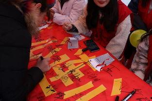 红丝行动,揭秘打击网络犯罪的正义之战