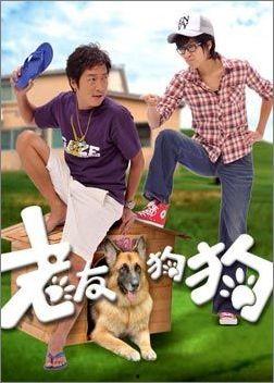 老友狗狗,陪伴与成长的温馨故事