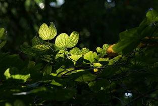 春光照满堂,暖阳映照下的温馨时光