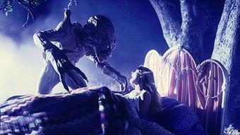 南瓜恶灵2：血翼,血翼——惊悚回归，复仇之翼展翅欲飞