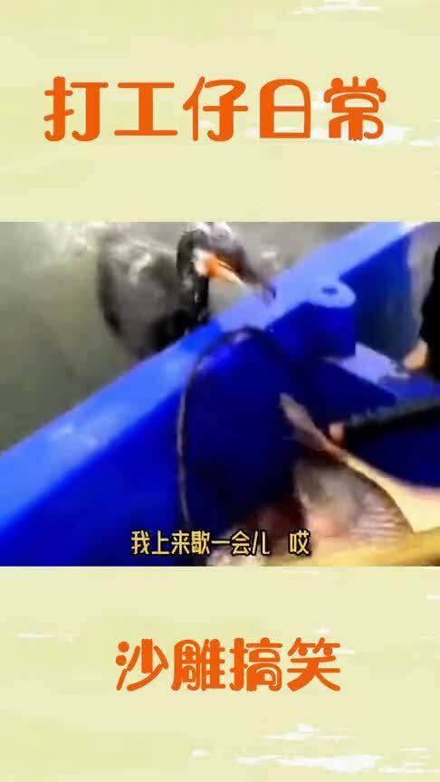 打工仔的拷问日常,揭秘职场生存法则与心灵挣扎