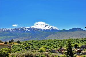 斯帕德克,揭秘科技巨头背后的创新力量